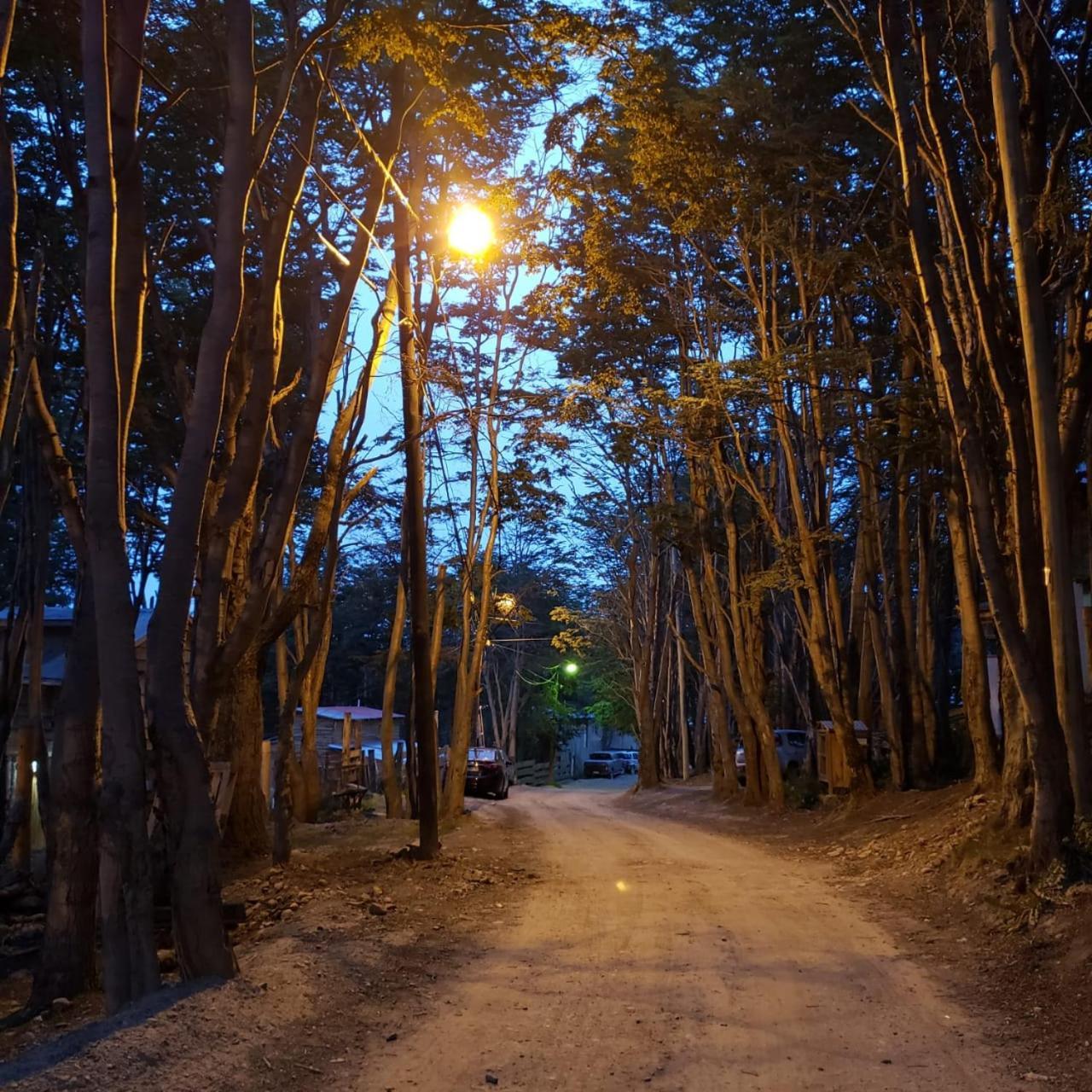 Departamentos Del Bosque Apartment อูซัวยา ภายนอก รูปภาพ
